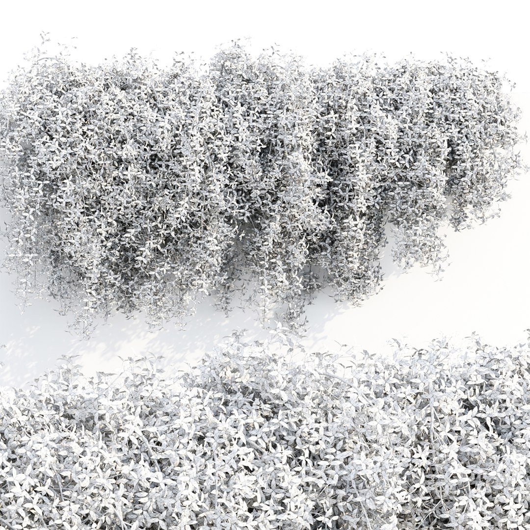 Hanging wall plants vol 171 3D https://p.turbosquid.com/ts-thumb/nH/K1Je0b/sV/3/jpg/1671560788/1920x1080/fit_q87/3c27ff367039554db5593178e0dc54bfe514a0dc/3.jpg