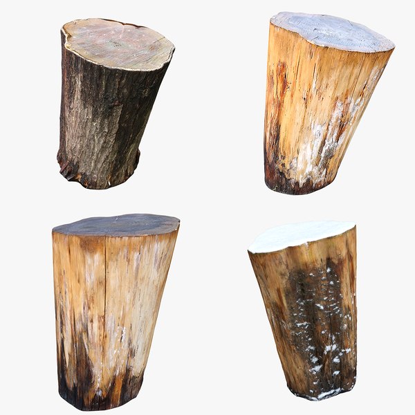 3D Tree Stump Collection 08 - TurboSquid 1755859