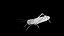 Grasshopper Rigged Low Poly