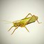 Grasshopper Rigged Low Poly