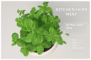 kitchen herb mint 3d max