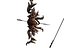 Plated Bow