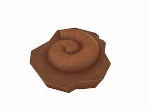 Fossil Ammonite