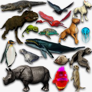 Animals colection 3D