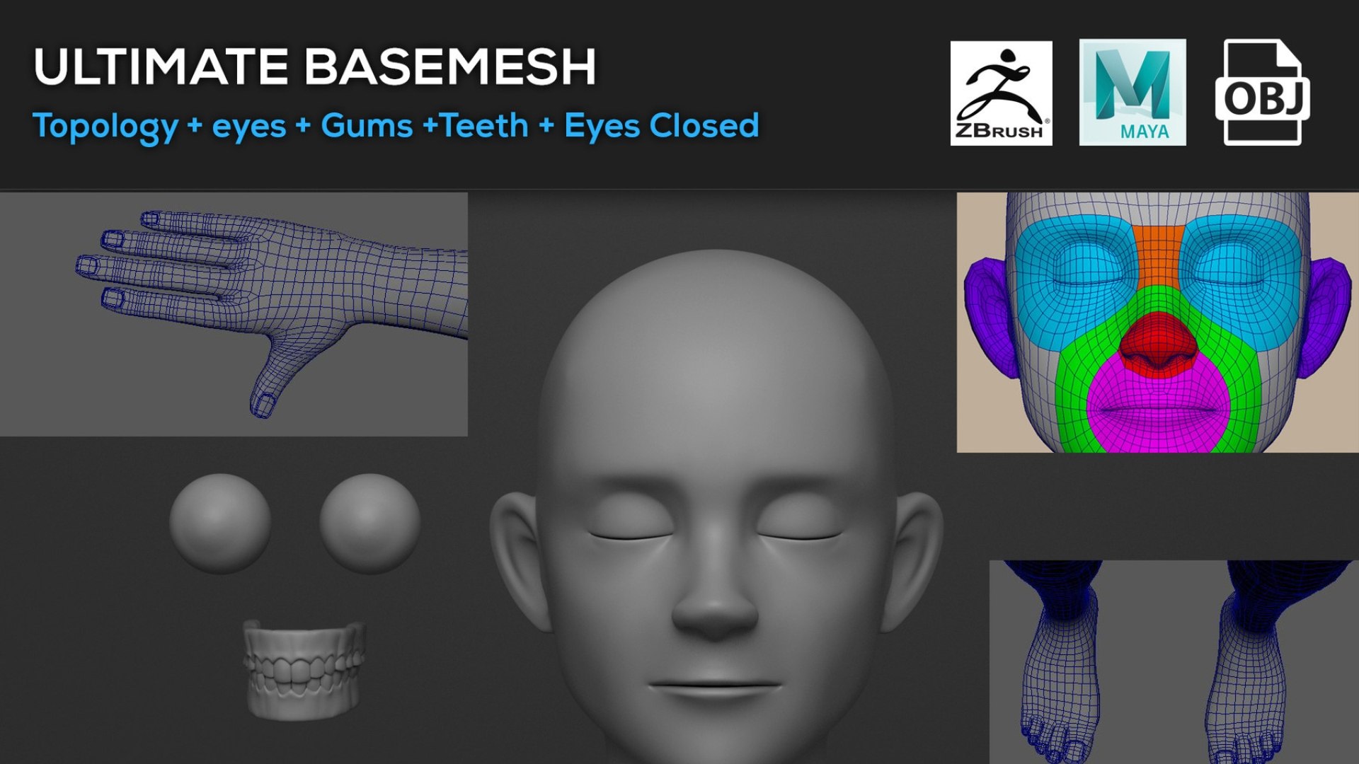 Ultimate Base Mesh 3D Model - TurboSquid 2235751