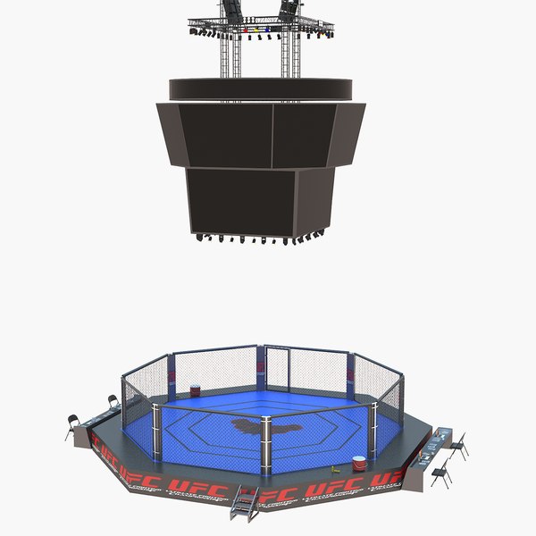 ufc arena fight 3D