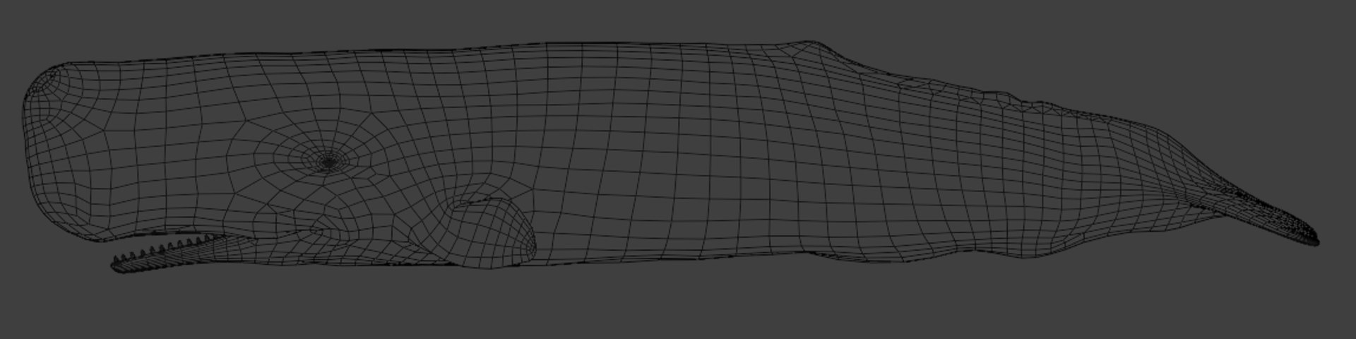 Sperm Whale Animated Low-poly 3D model 3D model https://p.turbosquid.com/ts-thumb/nI/JS4Vjo/07/capturadepantalla20250817024307/png/1757994721/1920x1080/fit_q87/941117dc4fa861aae8bf126a779be26b30a2e6a1/capturadepantalla20250817024307.jpg