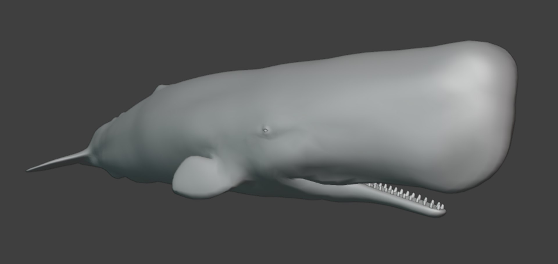 Sperm Whale Animated Low-poly 3D model 3D model https://p.turbosquid.com/ts-thumb/nI/JS4Vjo/NZ/capturadepantalla20250817024342/png/1757994719/1920x1080/fit_q87/f3f428167ecbeb341ce24f1c1149f4bb96f3c5b7/capturadepantalla20250817024342.jpg