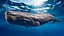 Sperm Whale Animated Low-poly 3D model