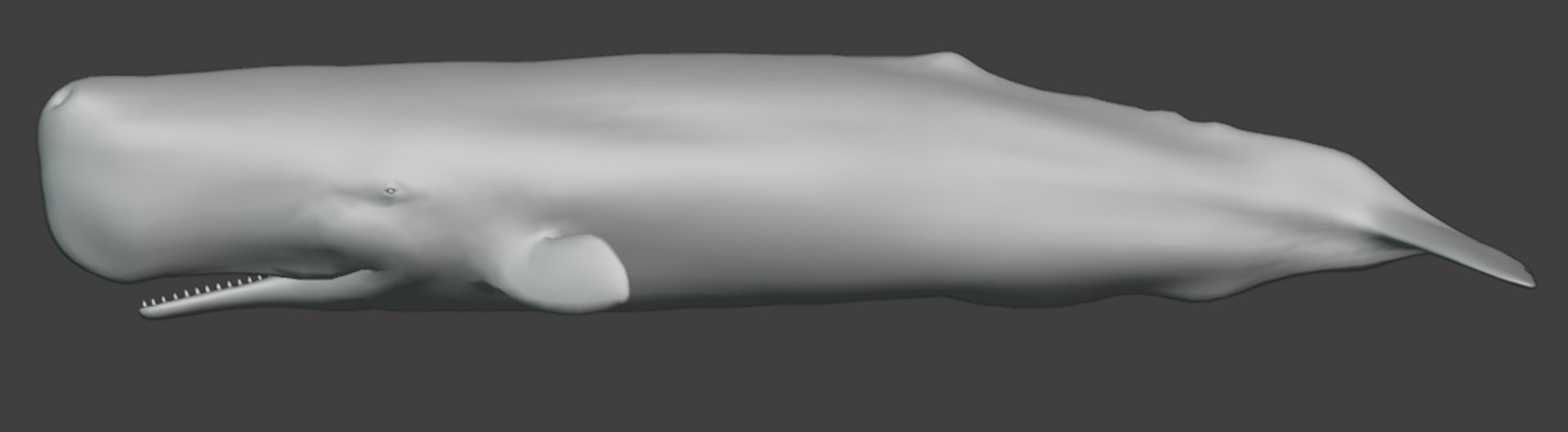 Sperm Whale Animated Low-poly 3D model 3D model https://p.turbosquid.com/ts-thumb/nI/JS4Vjo/Vz/capturadepantalla20250817024333/png/1757994721/1920x1080/fit_q87/aeb5a52ba27b6f2464d82d2a129d54a1de8702c9/capturadepantalla20250817024333.jpg