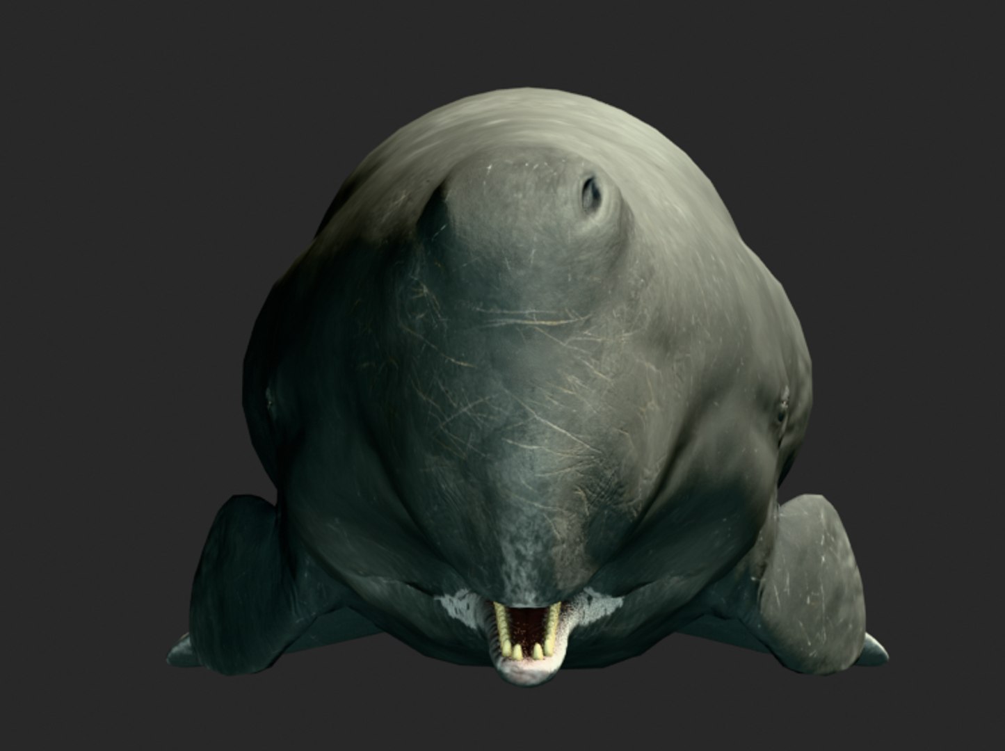 Sperm Whale Animated Low-poly 3D model 3D model https://p.turbosquid.com/ts-thumb/nI/JS4Vjo/gs/capturadepantalla20250827045827/png/1757994726/1920x1080/fit_q87/0c28fa72b9520a637a3a2b1ab0c09f62ef282963/capturadepantalla20250827045827.jpg
