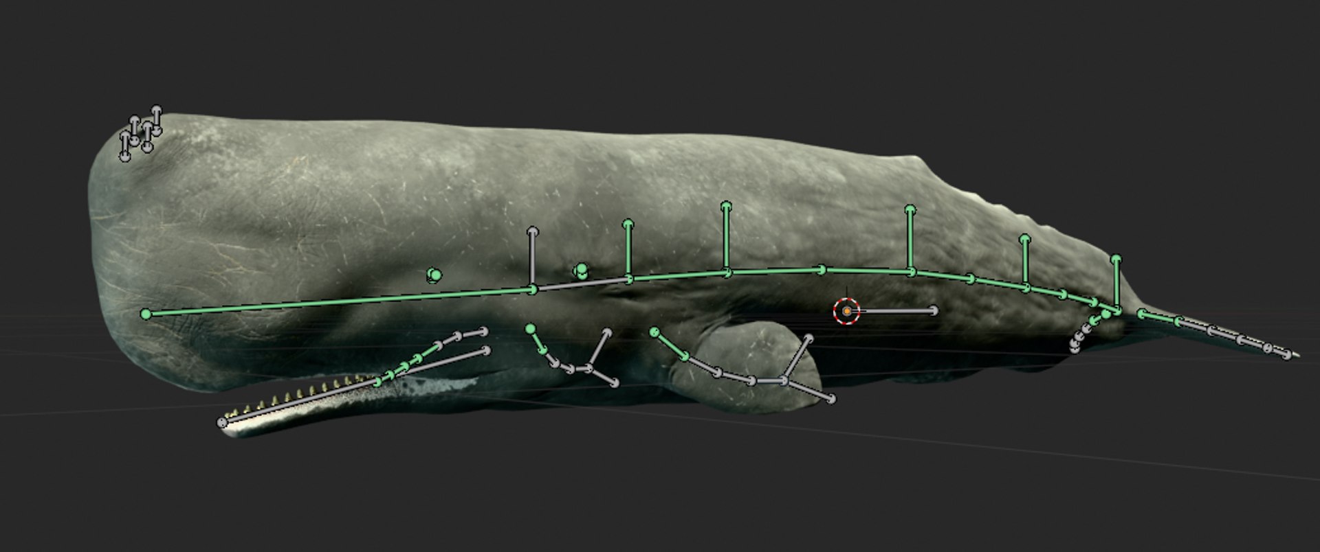 Sperm Whale Animated Low-poly 3D model 3D model https://p.turbosquid.com/ts-thumb/nI/JS4Vjo/gs/capturadepantalla20250827051325/png/1757994723/1920x1080/fit_q87/0f623592640771b03eda26a325f61de465202350/capturadepantalla20250827051325.jpg