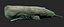 Sperm Whale Animated Low-poly 3D model