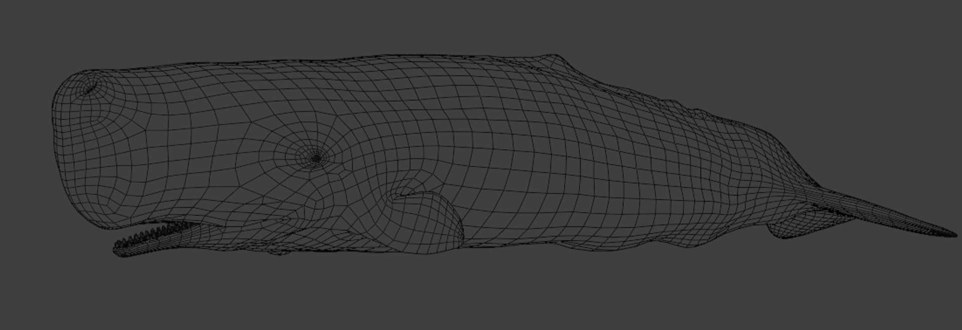 Sperm Whale Animated Low-poly 3D model 3D model https://p.turbosquid.com/ts-thumb/nI/JS4Vjo/mD/capturadepantalla20250817024320/png/1757994722/1920x1080/fit_q87/3b80f10f4c796b4a57226364504d1da56c57d9f6/capturadepantalla20250817024320.jpg