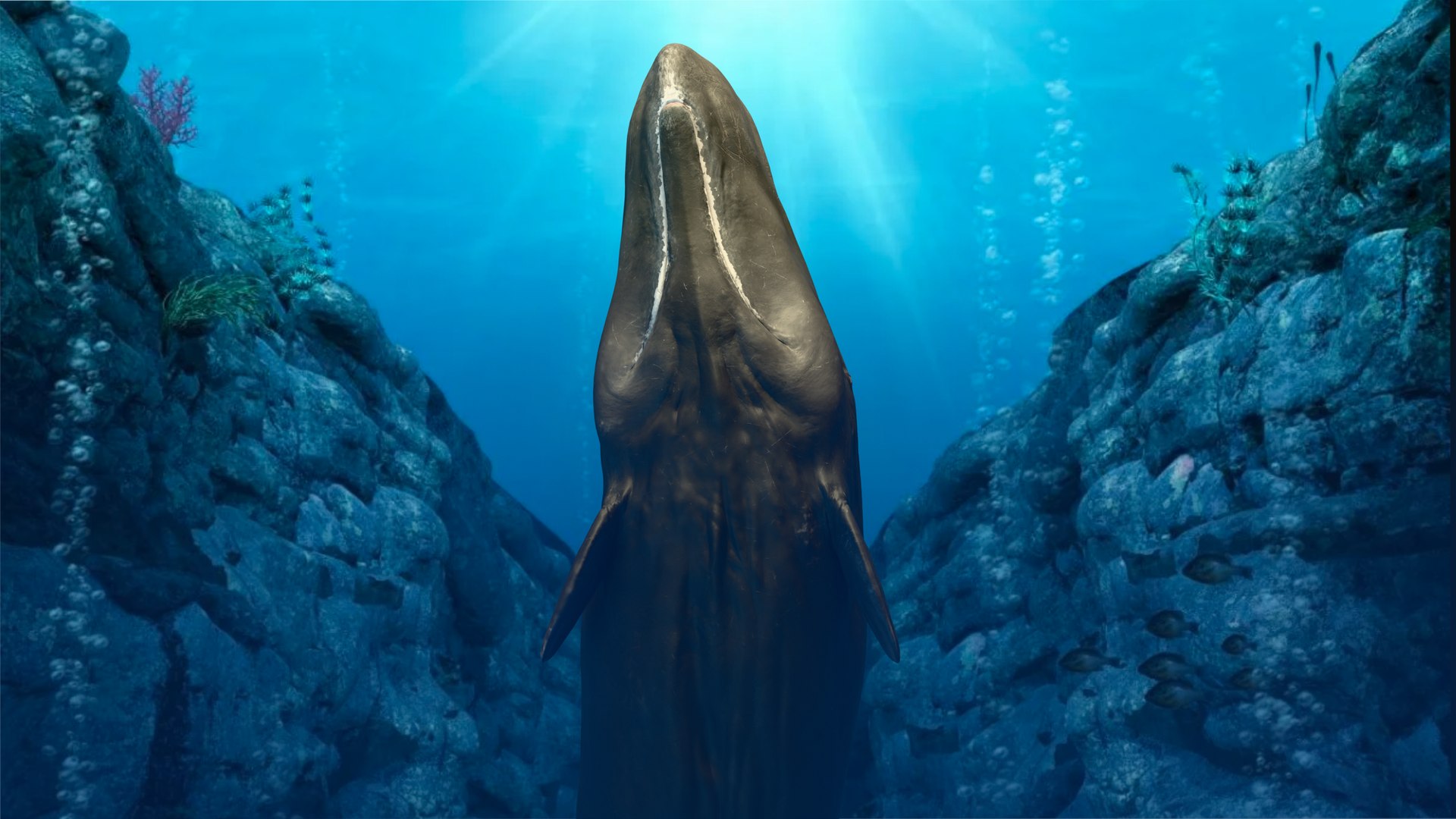 Sperm Whale Animated Low-poly 3D model 3D model https://p.turbosquid.com/ts-thumb/nI/JS4Vjo/pe/render5/png/1757994664/1920x1080/fit_q87/e4b3d1b4af55315f33b602387a74cd694f899bec/render5.jpg