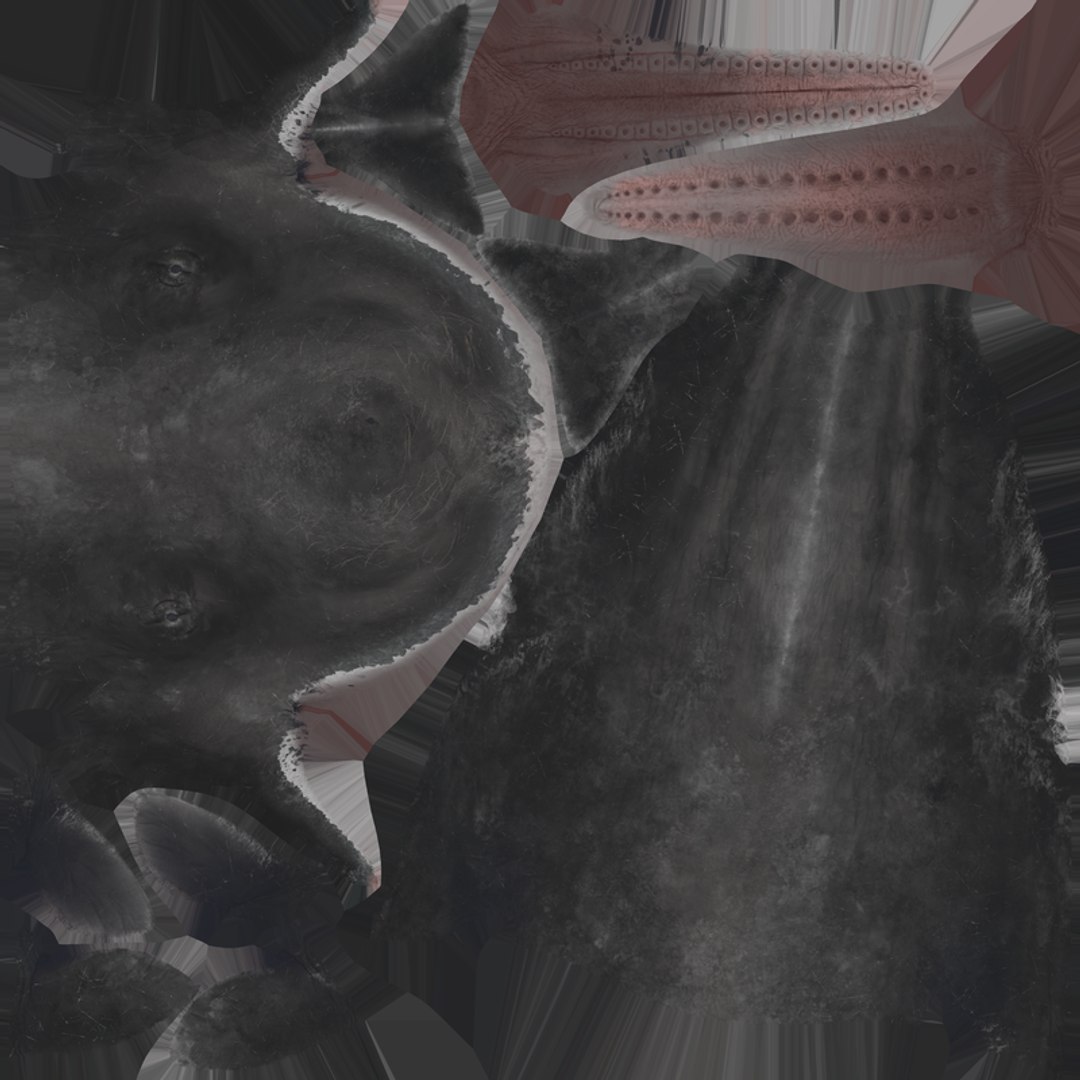 Sperm Whale Animated Low-poly 3D model 3D model https://p.turbosquid.com/ts-thumb/nI/JS4Vjo/sJ/spermwhale_diffusemap/png/1757994881/1920x1080/fit_q87/afe5d0051757cde962e4d854105ceb7c4bee679a/spermwhale_diffusemap.jpg