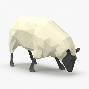 Sheep Grazing