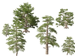 3D HighpolyLow Poly Cedrus libani - Cedar of Lebanon