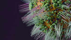 3D Virus Cell Highly Detailed Stylized Microscopic Organism