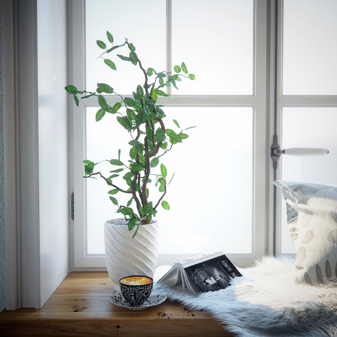 3D window model https://p.turbosquid.com/ts-thumb/nI/ZCClIJ/9712qgjB/w2/jpg/1549491497/1920x1080/fit_q87/82c1cb48cb7c6e1d6af803b11e860a41d722b377/w2.jpg