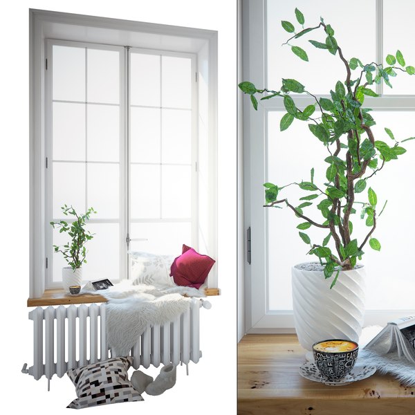 3d window