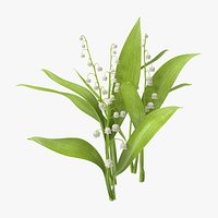 Lily of the Valley - Natural group