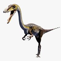 Coelophysis