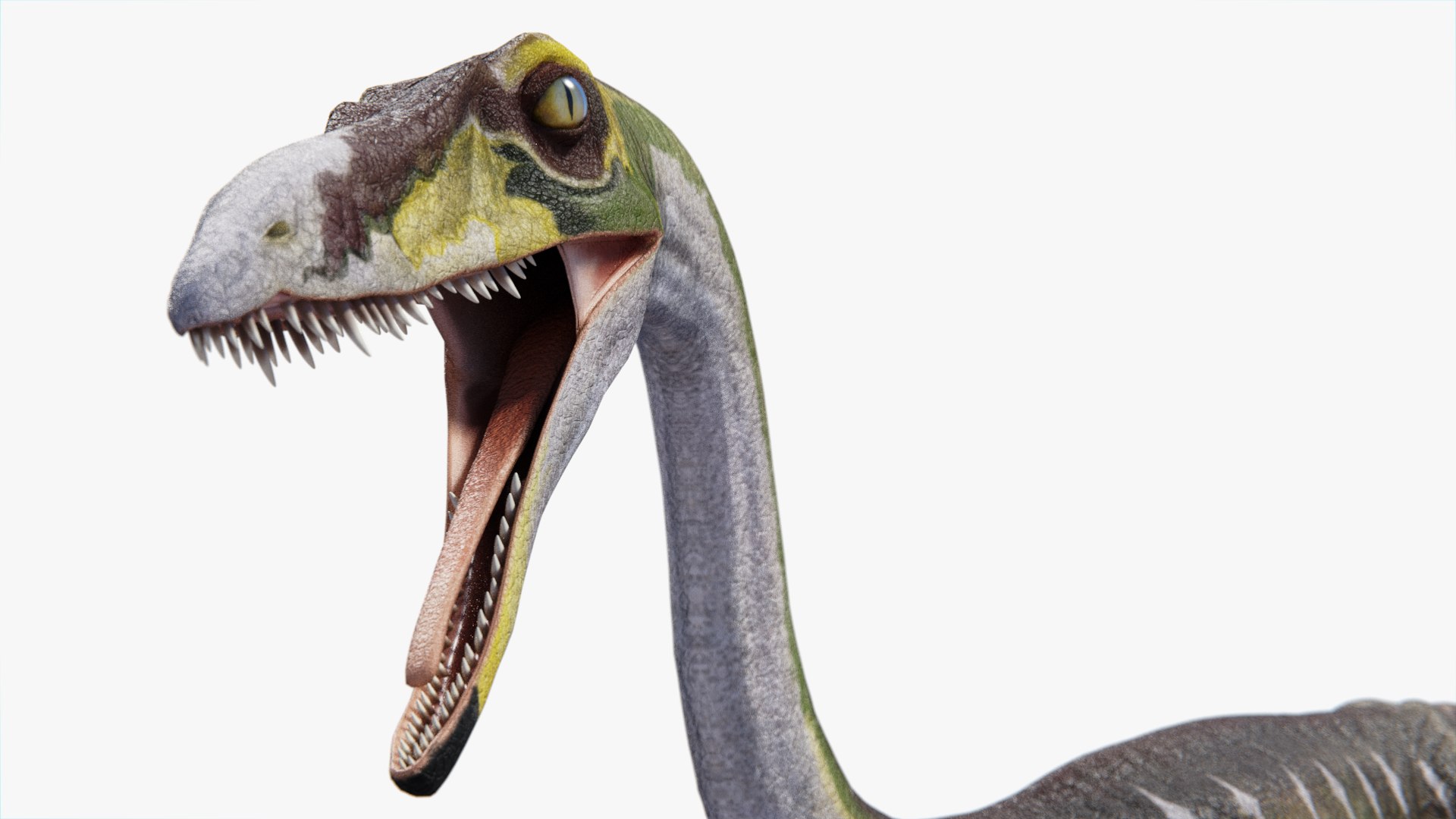 3d model dinosaur coelophysis https://p.turbosquid.com/ts-thumb/nI/gT9m2Y/wV4lfKGz/pose2/png/1441033969/1920x1080/fit_q87/493c39c21196f6522aada38201f318e4e511214d/pose2.jpg