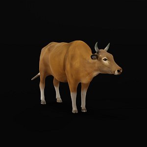 3D Indochinese Banteng Cattle