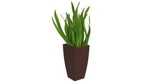 3D Plant model