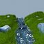 Water Source Animation