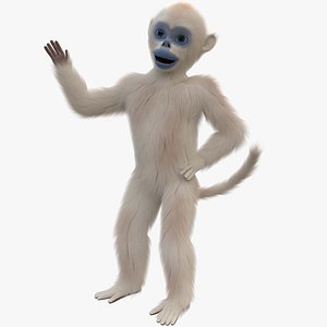 3D Monkey snub-nosed FUR ANIMATED model