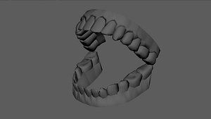 Upper and Lower Teeth