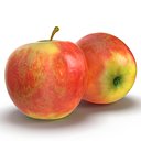 Apple Fruit