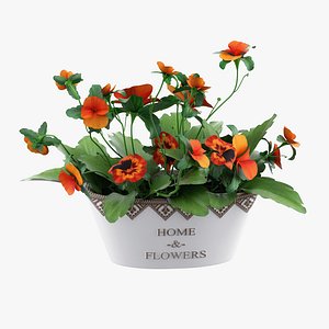 Pot plant
