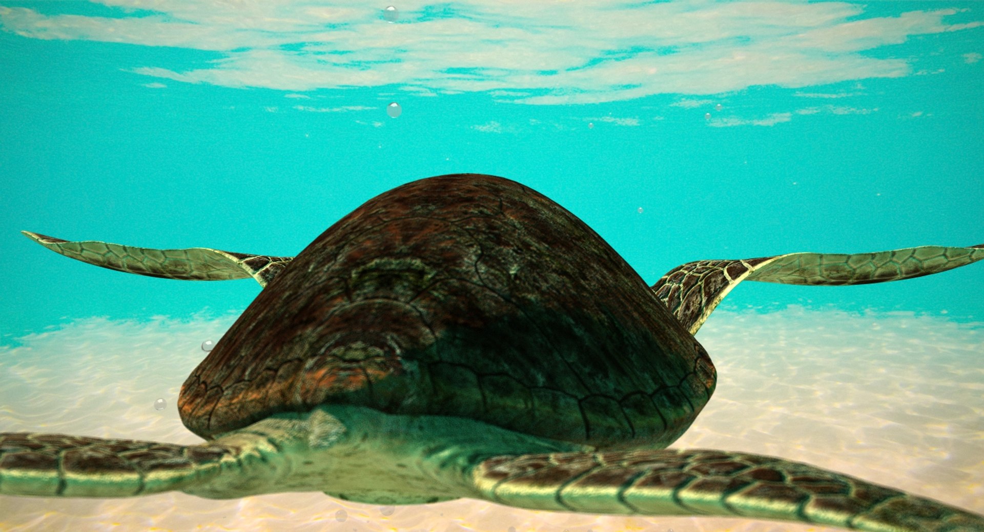 3D model giant sea turtle - TurboSquid 1153136