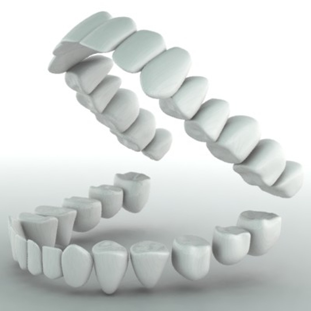 human teeth 3d model https://p.turbosquid.com/ts-thumb/nJ/llV596/jIbySt6S/teeth/jpg/1187549230/1920x1080/fit_q87/70a8bfe54739b71b50994dbde94ca9c42ca84529/teeth.jpg
