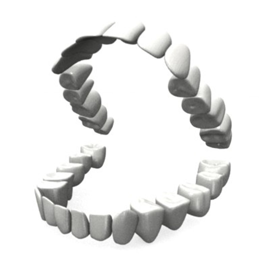 human teeth 3d model https://p.turbosquid.com/ts-thumb/nJ/llV596/utr15UnM/teethc/jpg/1187549237/1920x1080/fit_q87/a7002560664695229418d8450da7406f928e3112/teethc.jpg