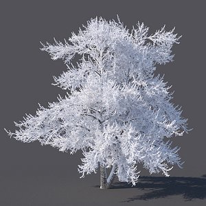 3D model snow tree