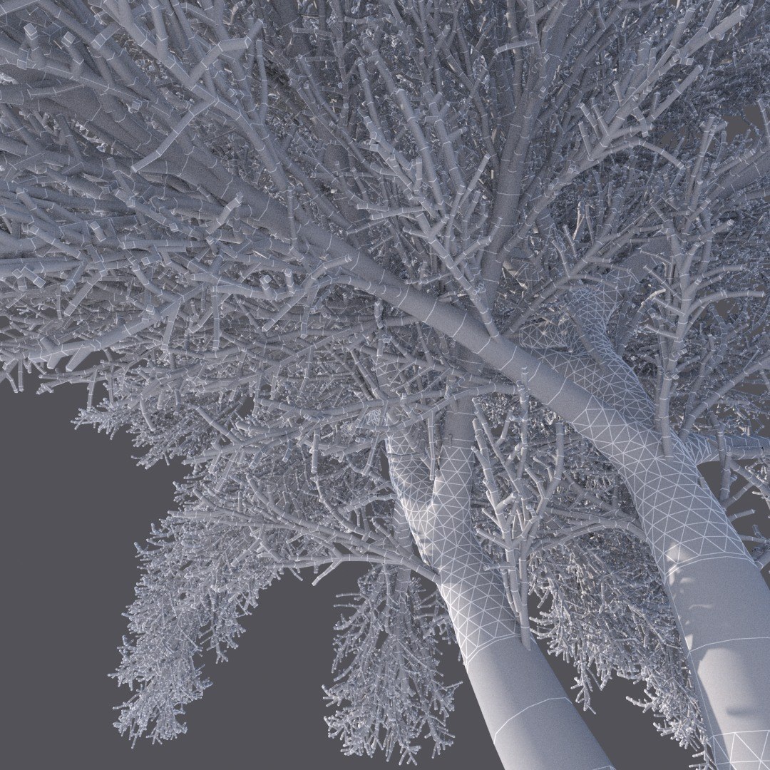 3D Model Snow Tree - TurboSquid 1248042