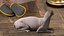 为 Maya 装配的深色奶油色 Sphynx 猫