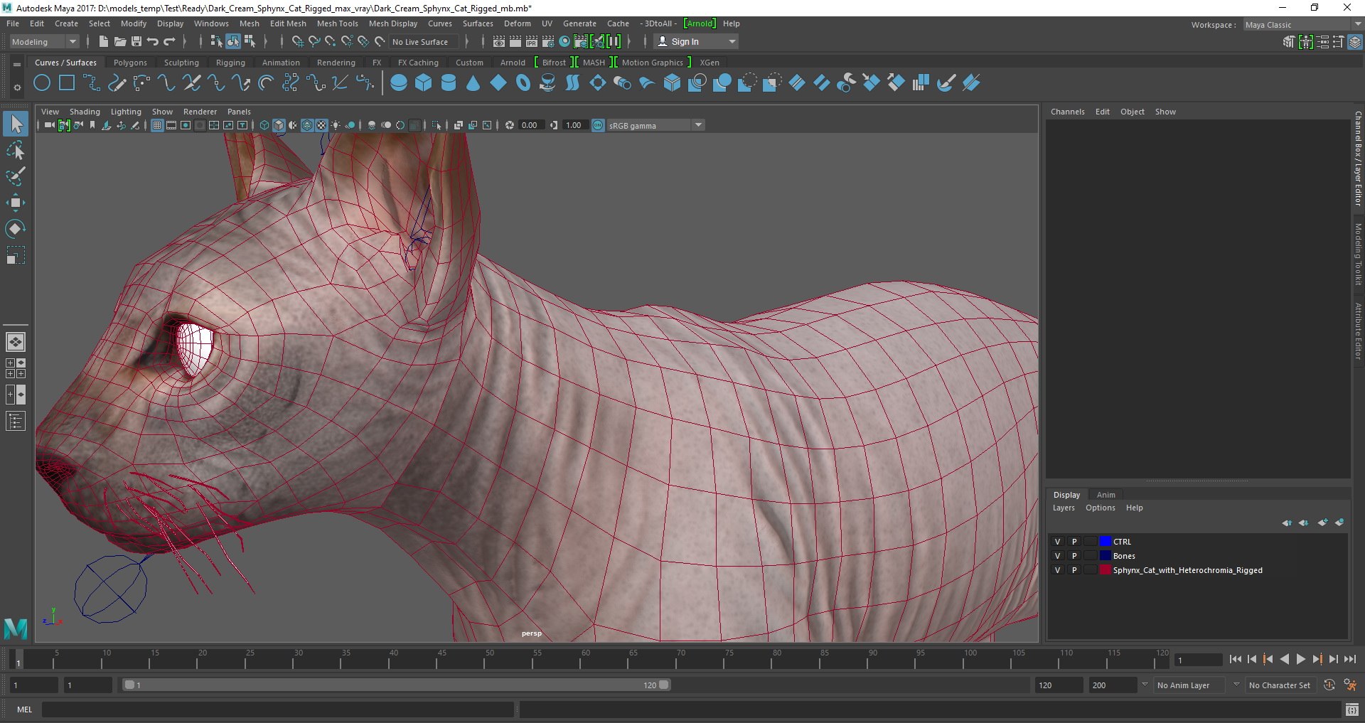 dark cream sphynx cat 3D model https://p.turbosquid.com/ts-thumb/nK/42DH3g/6zlqGt4e/dark_cream_sphynx_cat_rigged_mb_03/jpg/1607703604/1920x1080/fit_q87/ac7c8291e19d5bec7a16c490de8f6f15defa0135/dark_cream_sphynx_cat_rigged_mb_03.jpg