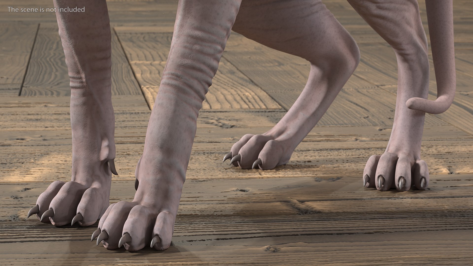 dark cream sphynx cat 3D model https://p.turbosquid.com/ts-thumb/nK/42DH3g/7KQXE1Zo/darkcreamsphynxcatriggedvray3dmodel012/jpg/1606610223/1920x1080/fit_q87/66043fafb612411b21a9638f6963758eda9e91fb/darkcreamsphynxcatriggedvray3dmodel012.jpg