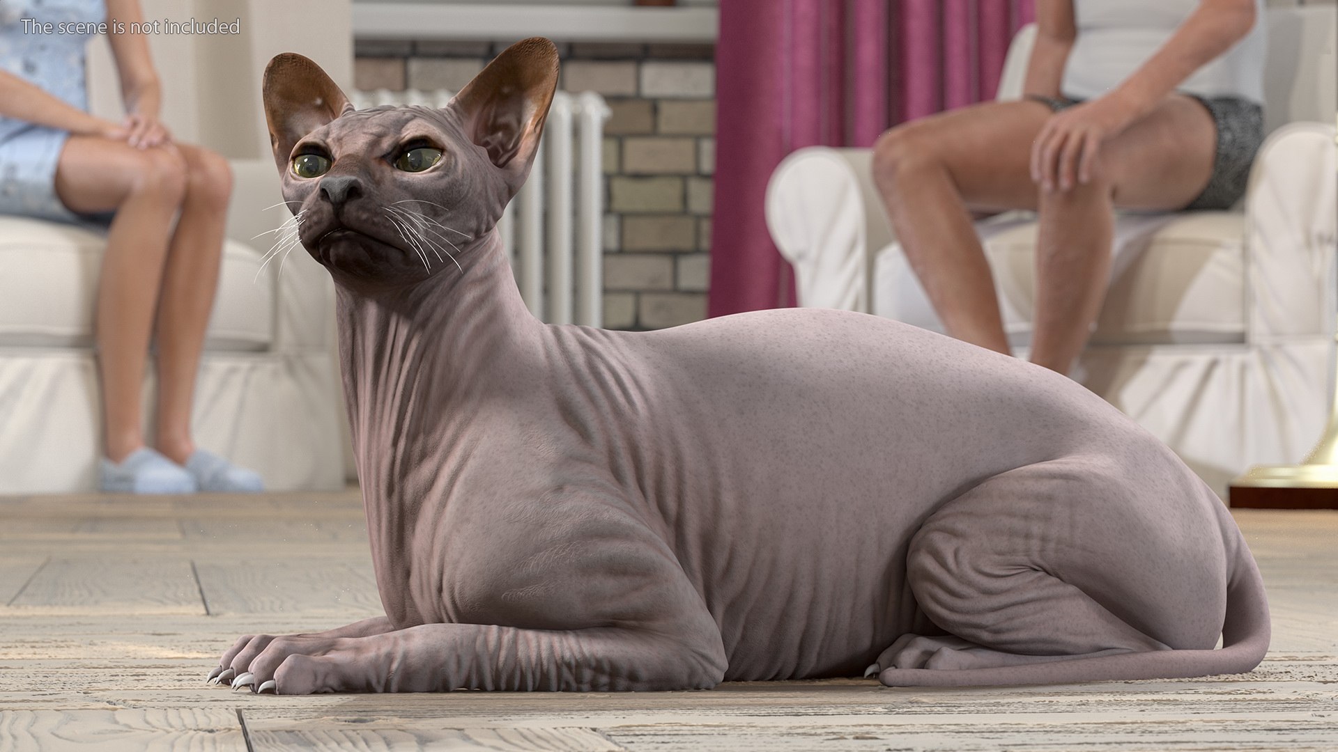 dark cream sphynx cat 3D model https://p.turbosquid.com/ts-thumb/nK/42DH3g/BdkkTU04/darkcreamsphynxcatriggedvray3dmodel006/jpg/1606610149/1920x1080/fit_q87/28ad7a4eda85de0bf9d5cf571b9c0544aca1701f/darkcreamsphynxcatriggedvray3dmodel006.jpg