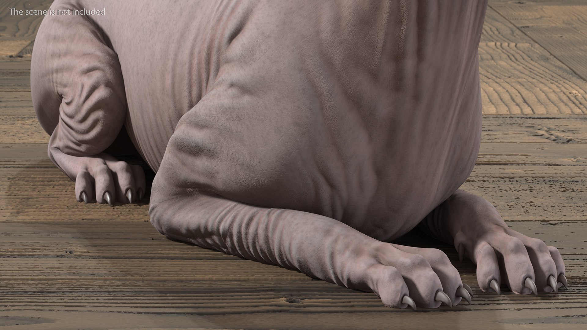 dark cream sphynx cat 3D model https://p.turbosquid.com/ts-thumb/nK/42DH3g/CYyNDm6F/darkcreamsphynxcatriggedvray3dmodel011/jpg/1606610210/1920x1080/fit_q87/e85568bcd537b25e066294575965b168841c9ec6/darkcreamsphynxcatriggedvray3dmodel011.jpg
