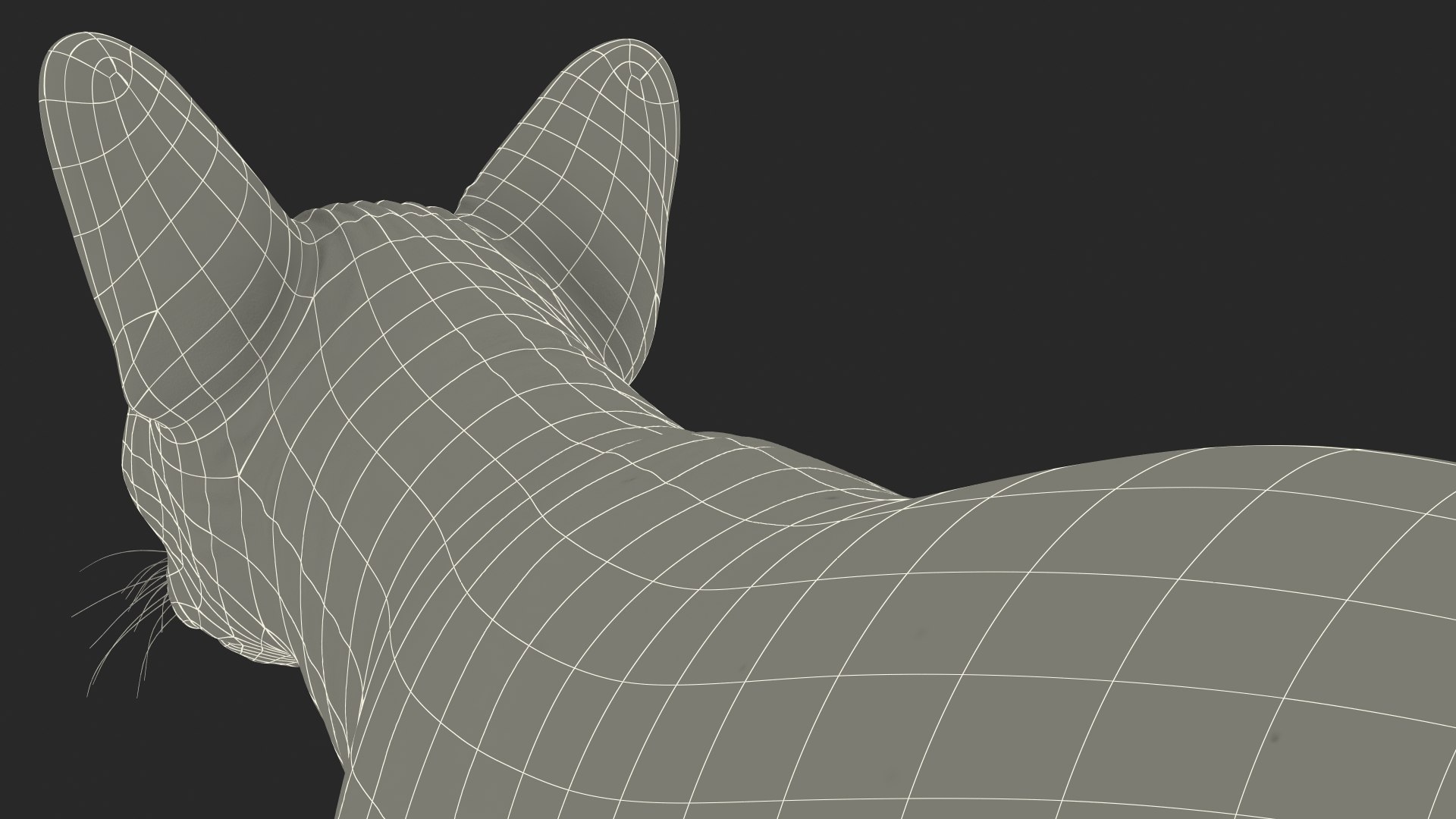 dark cream sphynx cat 3D model https://p.turbosquid.com/ts-thumb/nK/42DH3g/Caovz2aO/darkcreamsphynxcatriggedvray3dmodel030/jpg/1606610456/1920x1080/fit_q87/bec8cdc59b923ce2cc822470223623a45dd96094/darkcreamsphynxcatriggedvray3dmodel030.jpg
