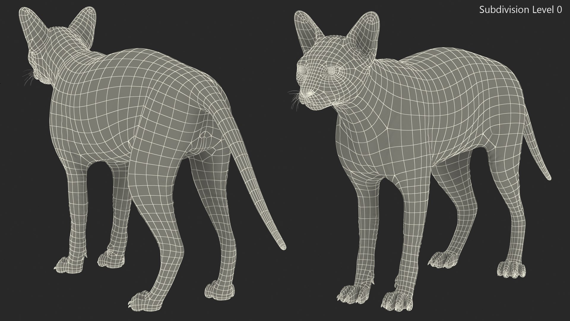 dark cream sphynx cat 3D model https://p.turbosquid.com/ts-thumb/nK/42DH3g/CtcRzTSr/darkcreamsphynxcatriggedvray3dmodel024/jpg/1606610370/1920x1080/fit_q87/ca60d9c6a0c0a7ab8cfbe512b177422e9c19e204/darkcreamsphynxcatriggedvray3dmodel024.jpg