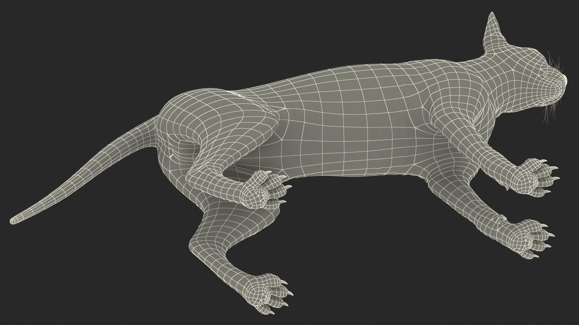 dark cream sphynx cat 3D model https://p.turbosquid.com/ts-thumb/nK/42DH3g/FyS6hQBn/darkcreamsphynxcatriggedvray3dmodel032/jpg/1606610507/1920x1080/fit_q87/767dcf67b57991530da74049f9e75d1ad109340c/darkcreamsphynxcatriggedvray3dmodel032.jpg