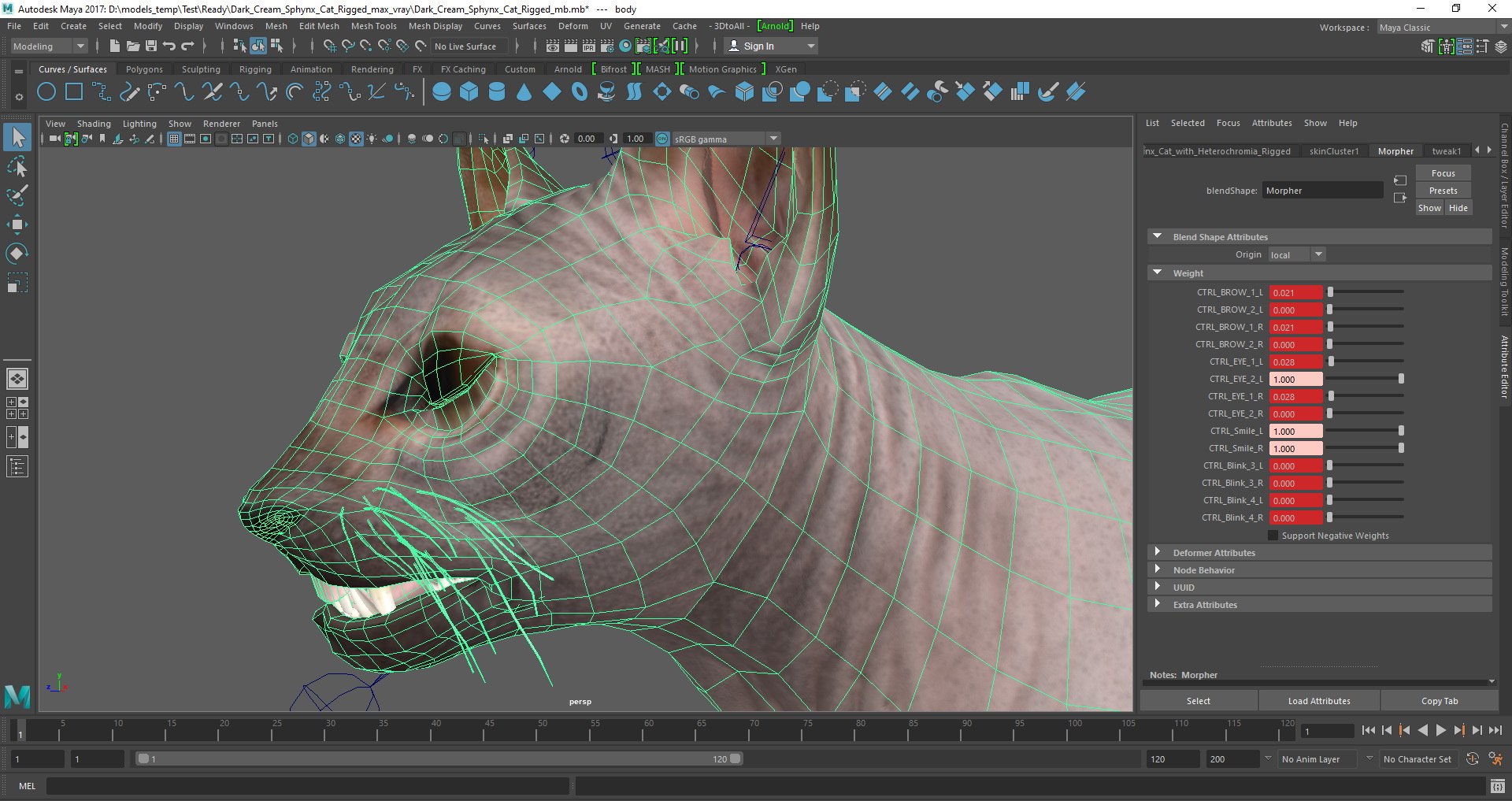 dark cream sphynx cat 3D model https://p.turbosquid.com/ts-thumb/nK/42DH3g/UDFGIgDl/dark_cream_sphynx_cat_rigged_mb_05/jpg/1607703604/1920x1080/fit_q87/e1127767a6b3969cbdfa4f679a3e20ea6c621287/dark_cream_sphynx_cat_rigged_mb_05.jpg