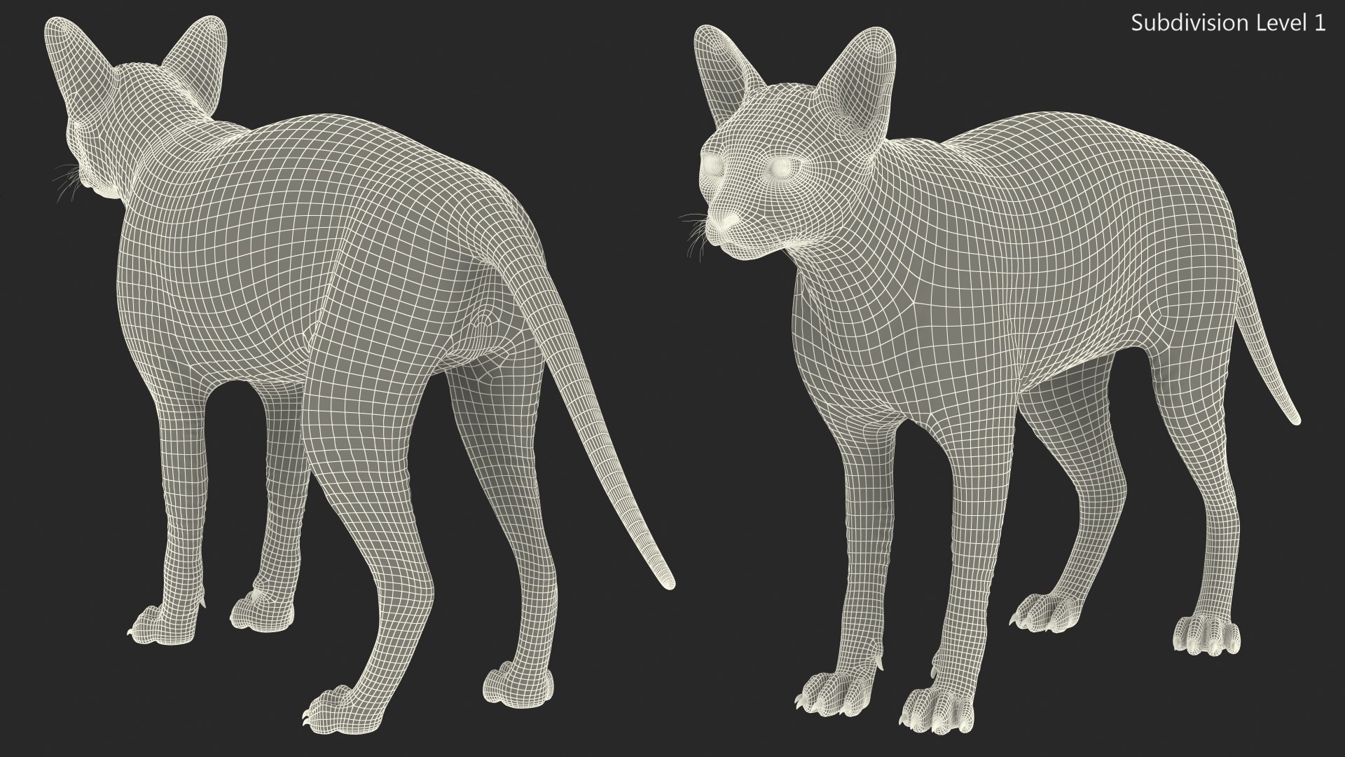 dark cream sphynx cat 3D model https://p.turbosquid.com/ts-thumb/nK/42DH3g/WsXC6Bj9/darkcreamsphynxcatriggedvray3dmodel025/jpg/1606610382/1920x1080/fit_q87/04dee99213ec56abf427435c93468caef3783fd8/darkcreamsphynxcatriggedvray3dmodel025.jpg